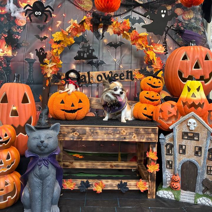 34641985 d710 4d1c 8c83 53c7f0ddfcb3 1761863016172