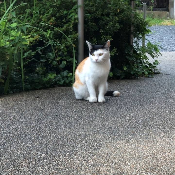 34643410 1140 4645 b319 e03dd066d7c5 1599775723822