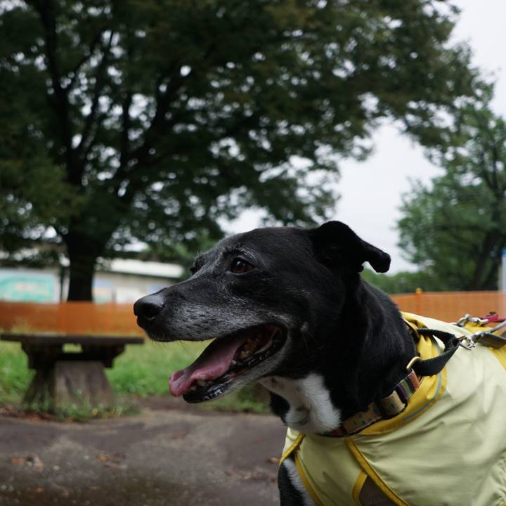 34643654 3bc3 41fd bf91 0ec860b029d0 1757719058444