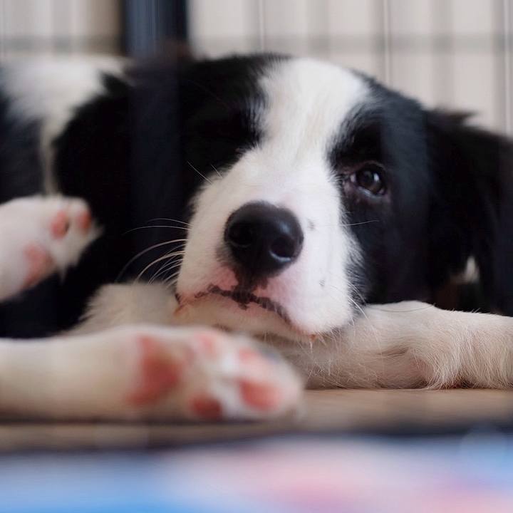 346464a7 5db2 4262 af2e 87f55fe4fb83 1758421996750