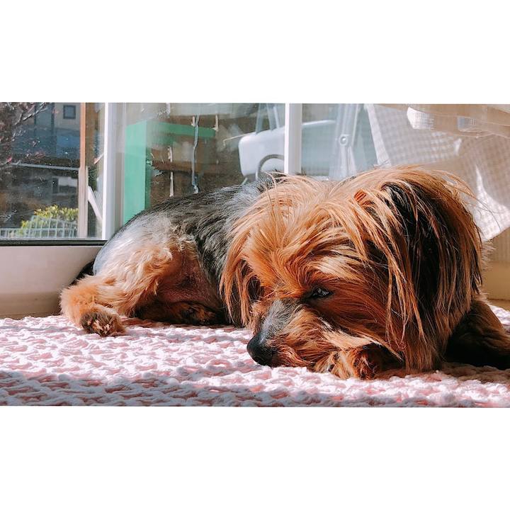 34646c77 62f7 4113 b081 42cb78298c27 1615697635040