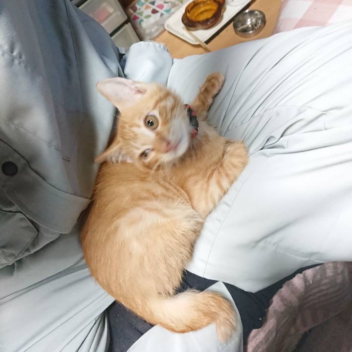 3464f810 23b9 47b5 bfe8 d83fe4cef807 1630749481468