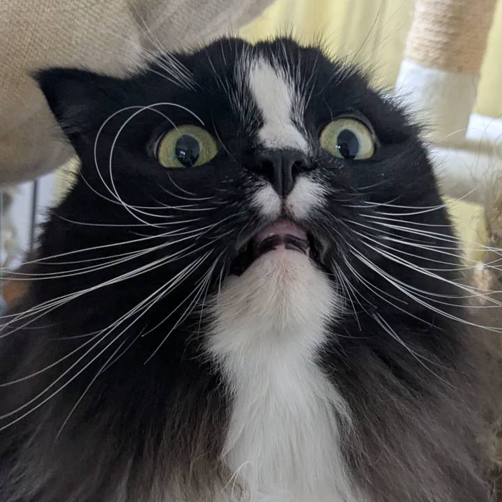 34652003 af8a 4642 b86c 832f9bcdca6f 1764329873798