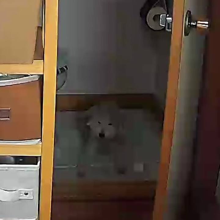 346535d1 b0fc 40e2 b809 723d756d08c7 1626236348186