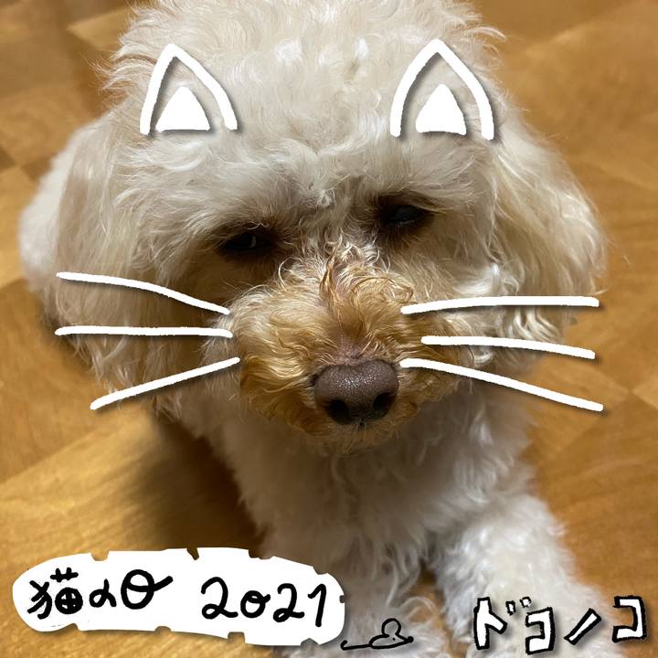 34655181 1898 43af 9f79 5394d0ce7373 1613995619136