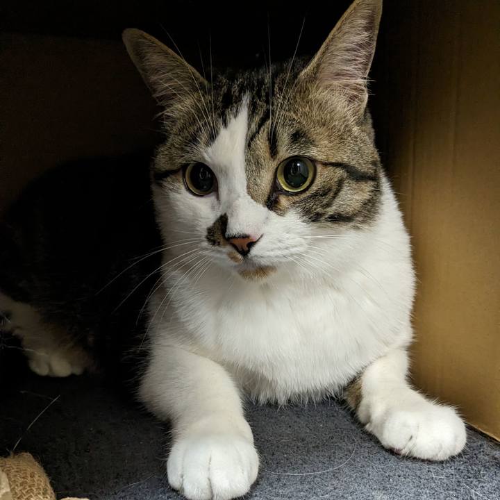 34656b41 4581 4da3 881f 5cc5ced0cf67 1682781927713