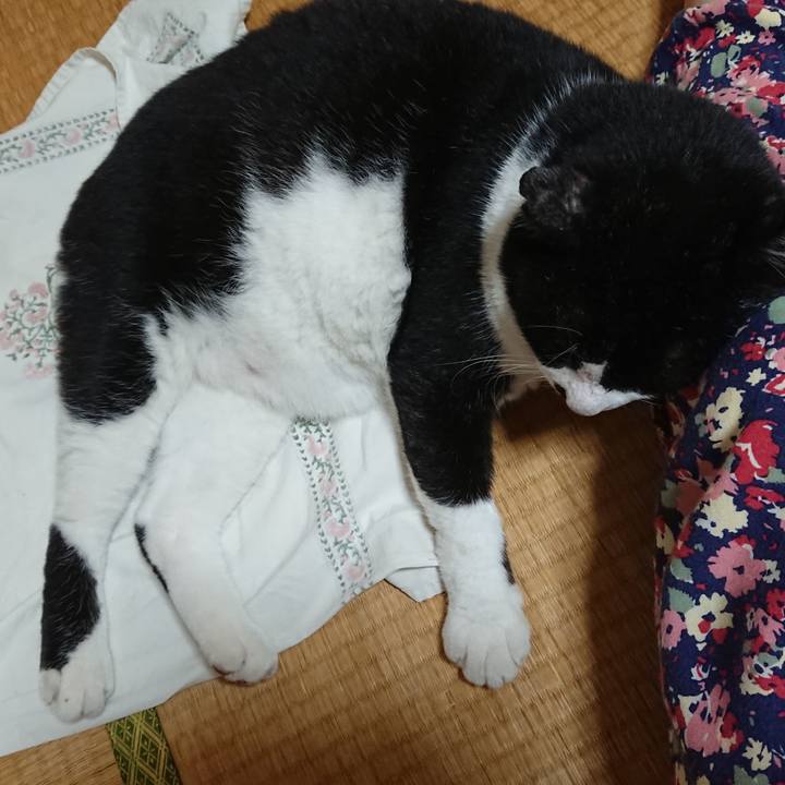 34656c88 5e38 4612 8225 3bf763131c4b 1600246340850