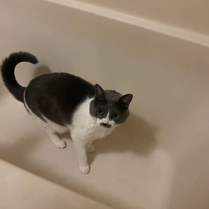 34657fcc 521d 42fa 91c2 96aea5d5b3cf 1673093967150