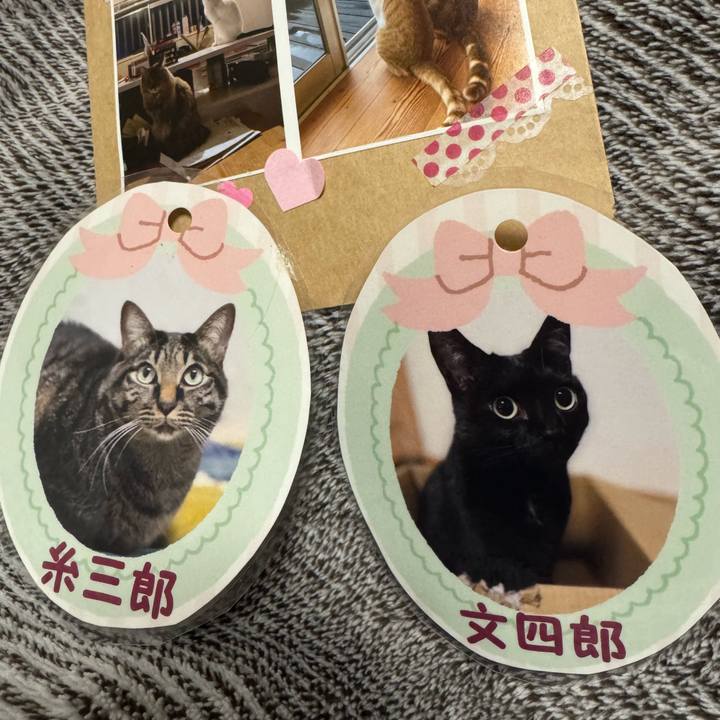 346599d3 1201 45e8 be6f b76998758b4d 1763725174888