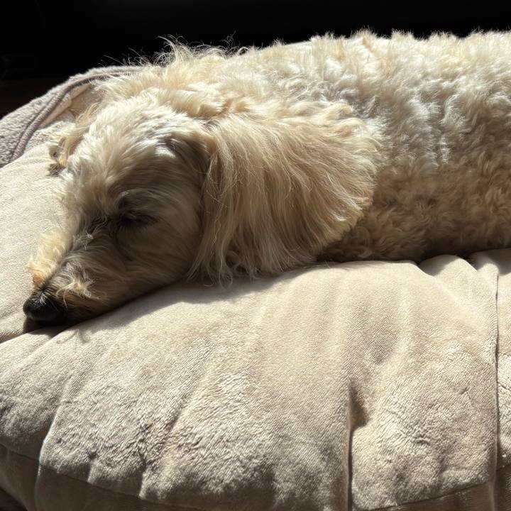 3465aec8 1160 472d 92ee dab44fe788c7 1763692834633