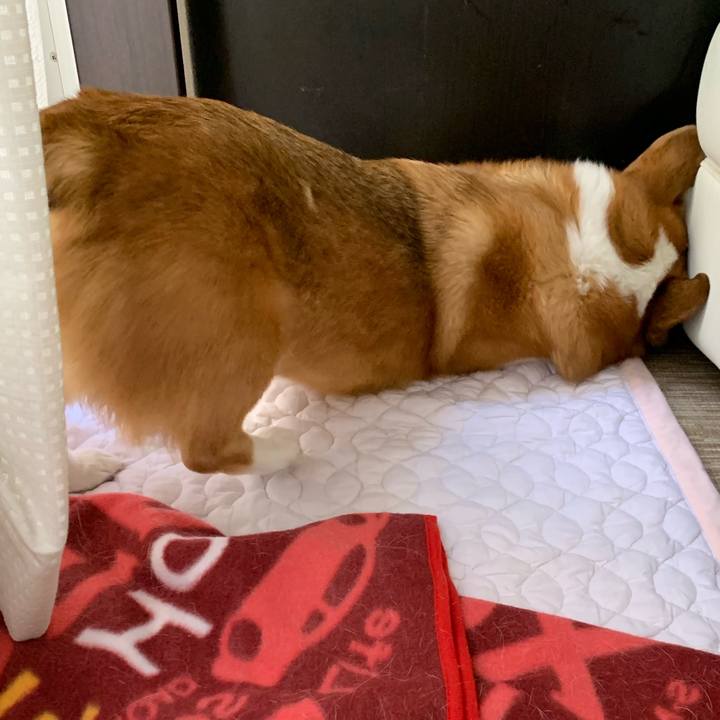 34661eb3 8cda 406a aec4 3ff50468edd3 1583897071077