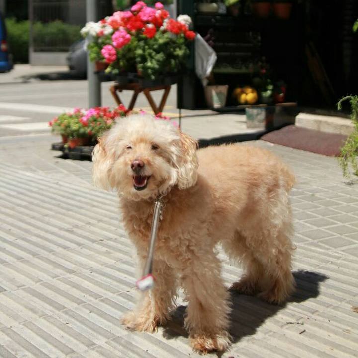 34666554 fcc9 4535 b7c2 28514200aebf 1589902327379