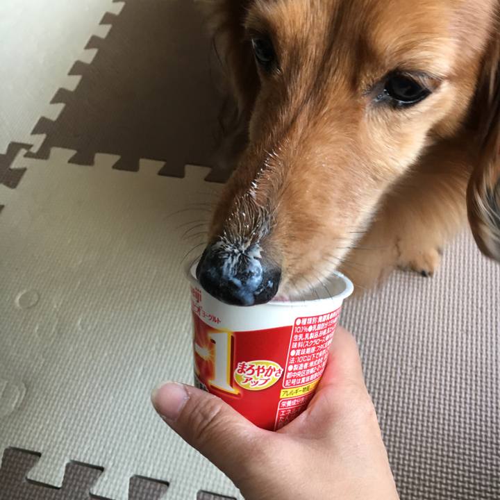 34667b6d 3ffa 47e0 807c ecbf3e7e5276 1549797646793