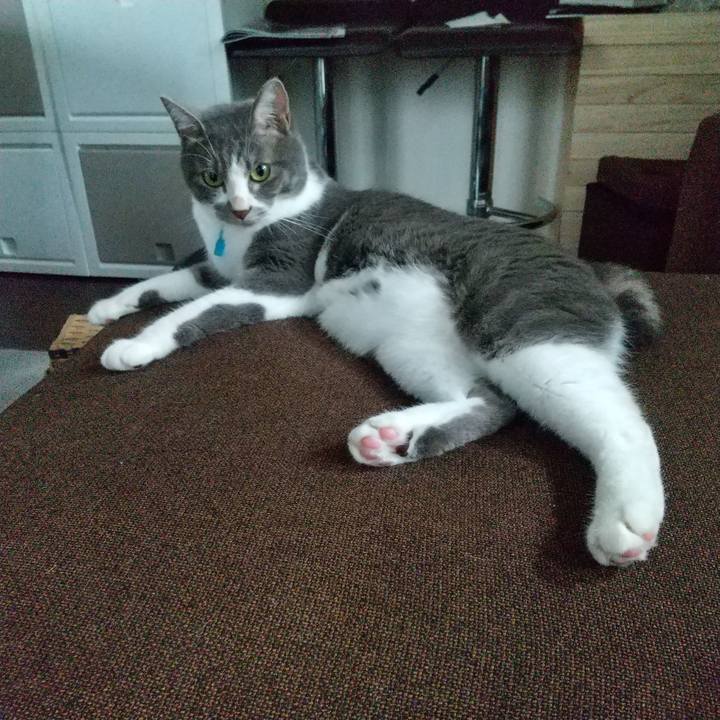 3466b669 edd6 41f7 8144 8f1330f6af84 1626217542688