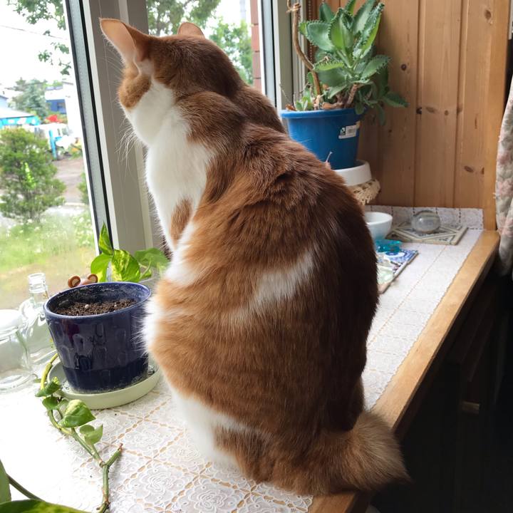 3466d32f 78c0 4ef3 ba63 1e33df4a9e3f 1561759782557