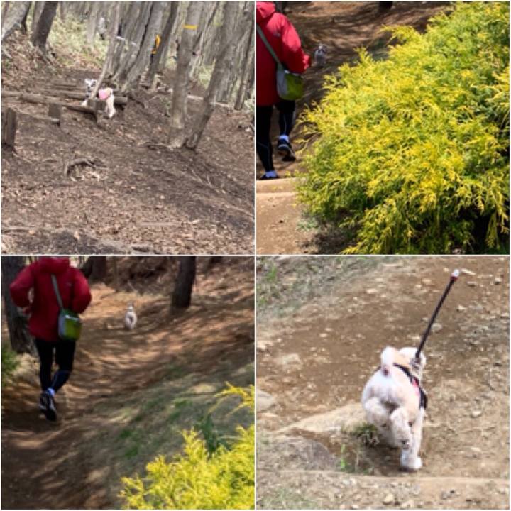 34672ff5 8a1b 4f76 8b27 2e470e40f121 1559653386456