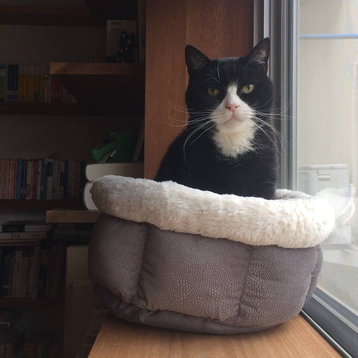 3467393a 670b 4a5c bf0e 5286b4273648 1517708147346