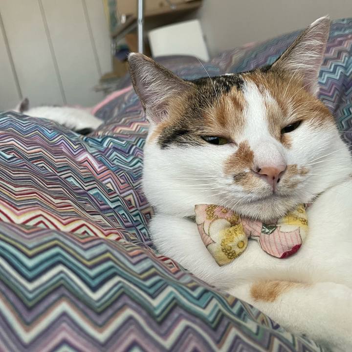 34673d91 e064 40c4 915b 33a327a47429 1635377743655