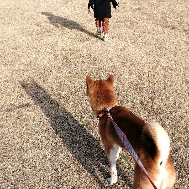 3467405b b045 4515 bf65 2a2f4170792c 1614255493801