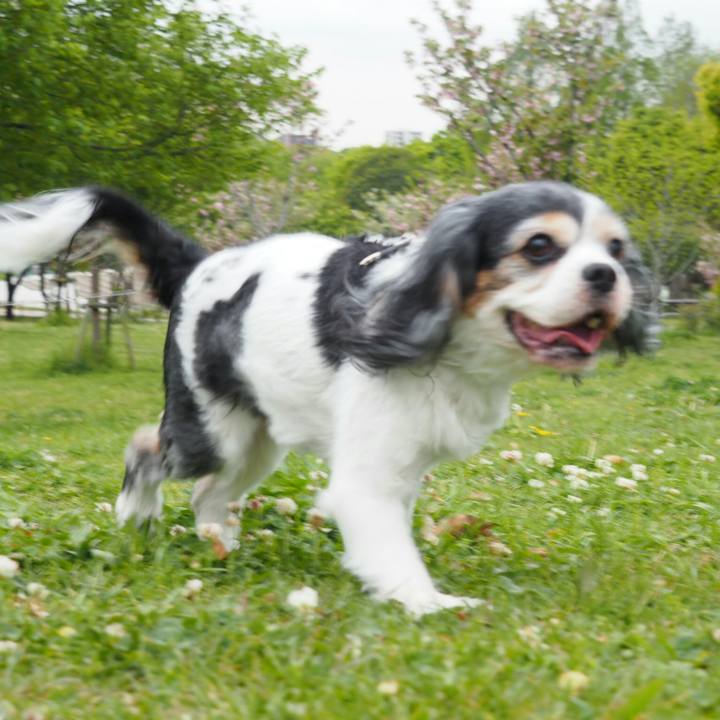 3467a4f9 b03b 408d a3b4 29e9bd9f6468 1523685704453