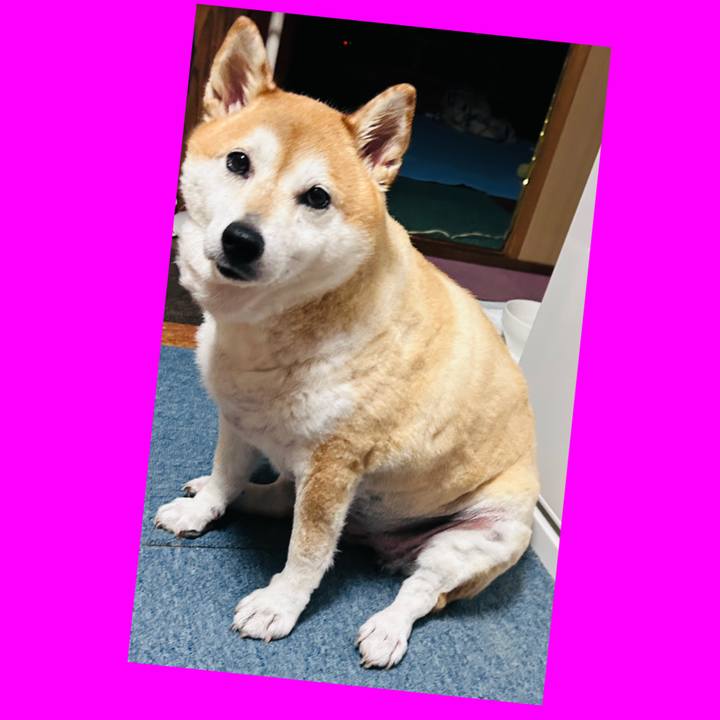 3467b43e 1929 41ce bf19 9d895a51dee4 1727694390988