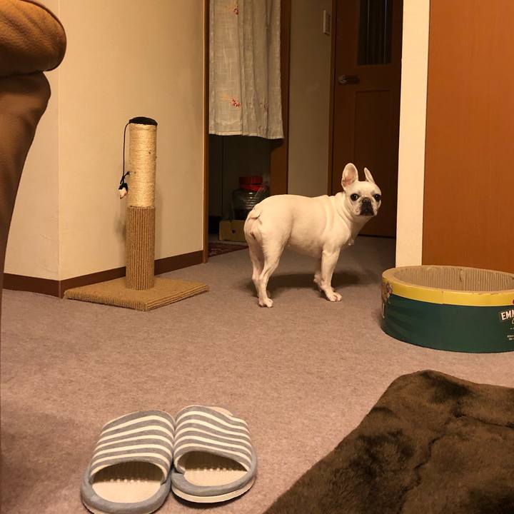 3467db1d 7f82 4b16 b580 5d3903f2e4d2 1579958385158