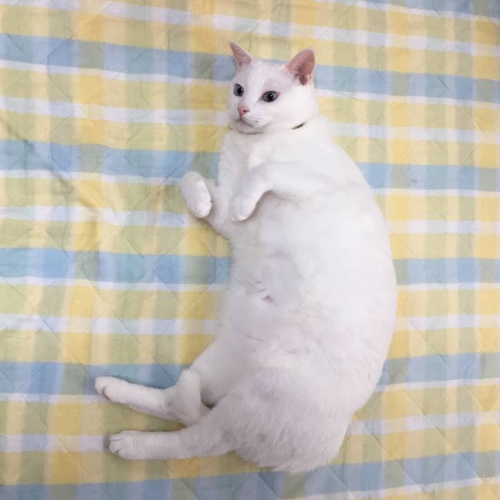 346817d8 6d10 4136 a56a 98316d5c35fa 1532179269121