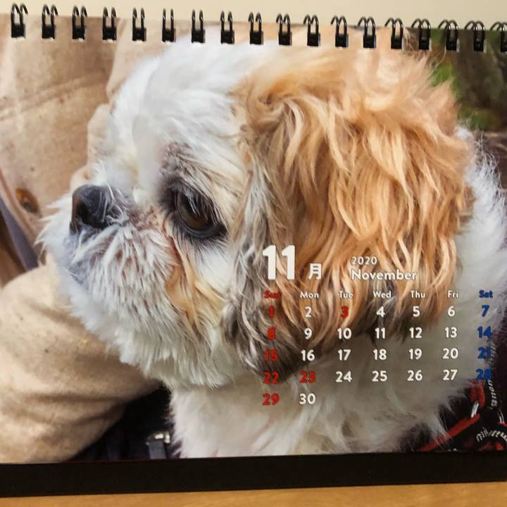 34682696 49e1 4dcb 8965 4c753055422b 1604441229100