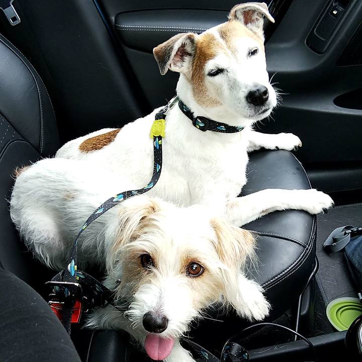 34685e65 2d77 496d a37e 4502a607c13c 1559454844789