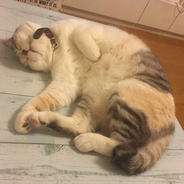 3468796c c74e 4b3e b014 3a63559cb8af 1559832006191