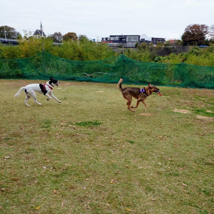 3468b7c4 d85f 4a77 9ae5 266d6fdee9a7 1699752161251