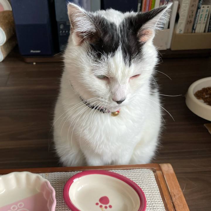 3468e382 f0bf 4789 a0c7 1fc3e0e5a799 1697356472167