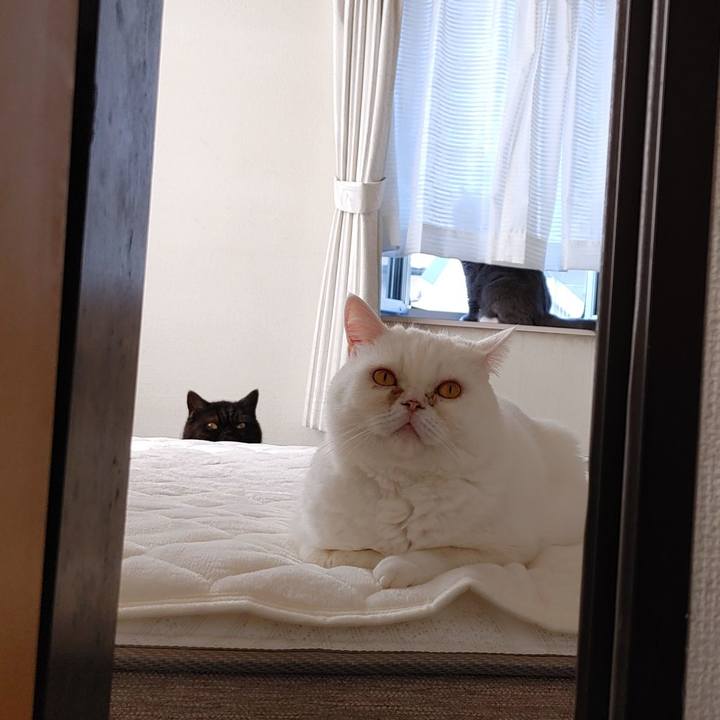 346912a0 bc24 4727 bf65 1fe9cf6e1a42 1635899328875