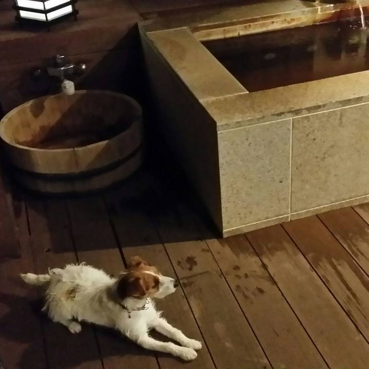 34693b14 8778 4cec b651 90f25b85d336 1513342838971