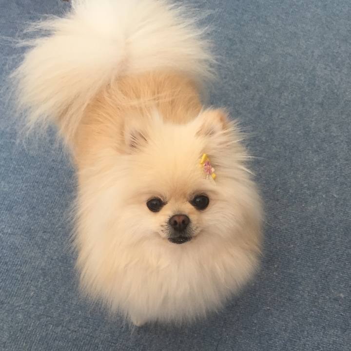 346948ad e3d1 404f a4aa d9b233798826 1524369554596