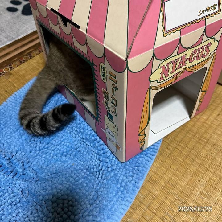 3469669e b21e 4a4b 95e5 37ef66ab411c 1771971022333