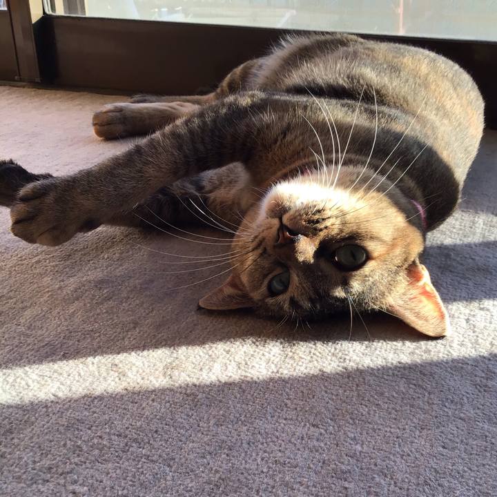 34697755 3ad5 4deb 96c2 56856d960e91 1606549139260