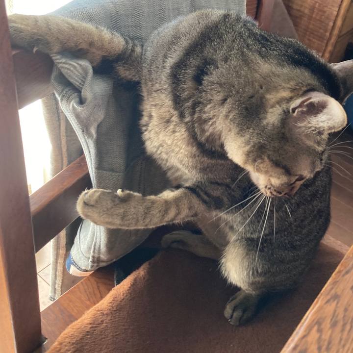 34697bd6 2c4b 405e 898e 8046258cb657 1770246499635