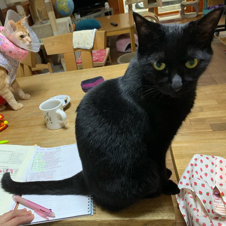 34697e80 cc84 4511 8c9f 5637da063047 1620941827471