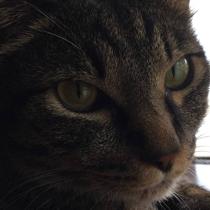 34697f9c 7e78 4170 a208 33f0b88b847a 1529726627425