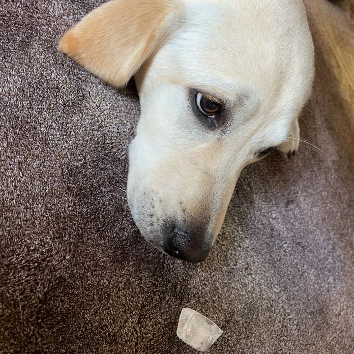 346983dd 2bc6 4ce4 8323 93dfd5344d80 1622469587532