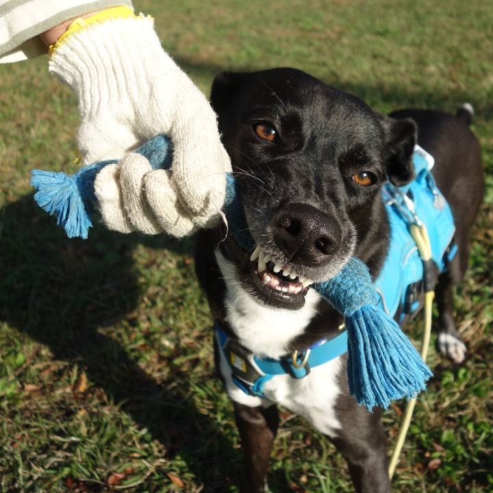 34698505 27e8 4247 9df0 42403eedf5cc 1635381387408