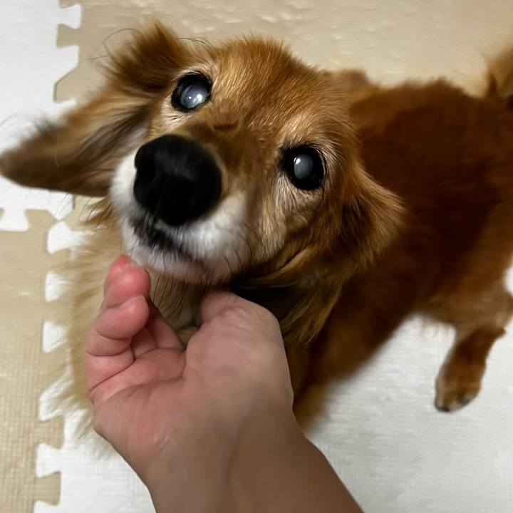 3469a697 db48 4dcd b9af 11c5daf559cf 1666792719370