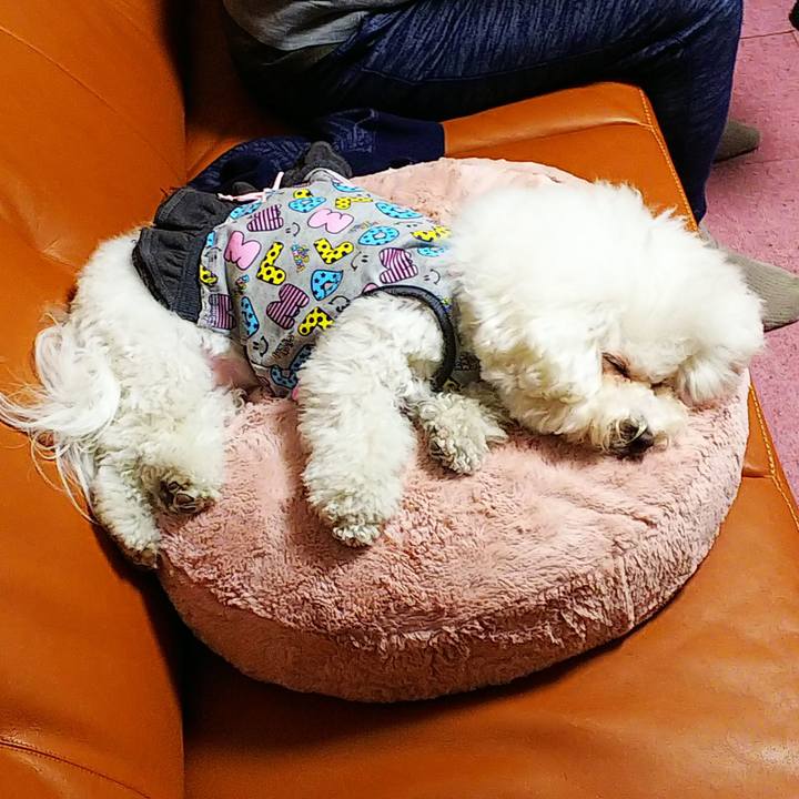 3469ba27 0270 4ab0 902d dd9578a86387 1543134580480