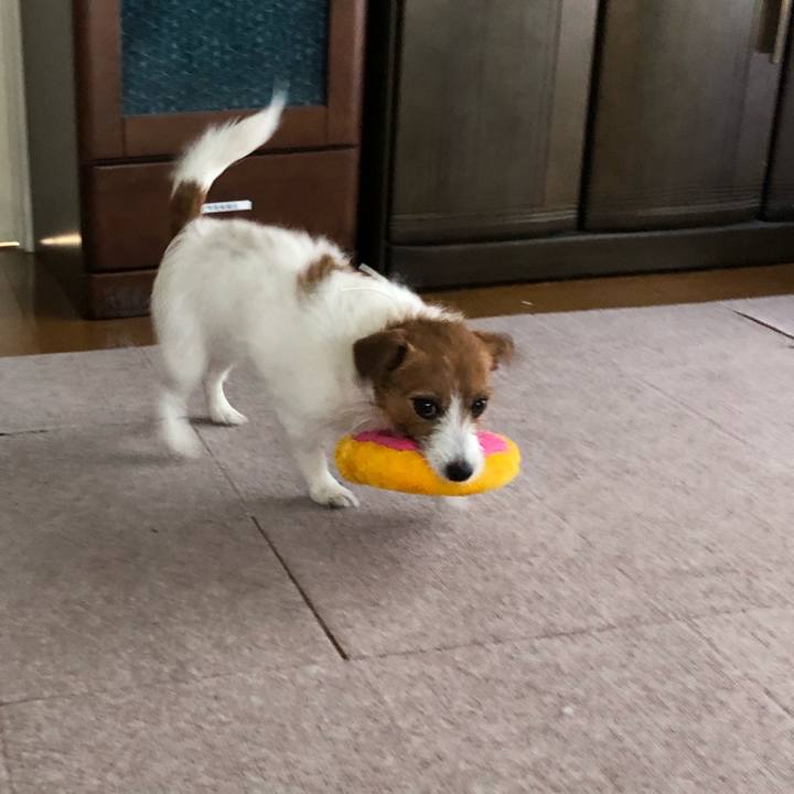 3469ee05 7c1f 4267 bb71 a3a6392c9155 1554030751851