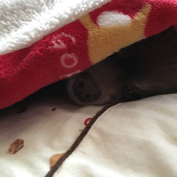 346a5c7e 7a27 445e 90ce 703e5a74b658 1521350541547