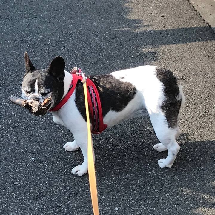 346a6535 ea87 4028 8fee 9660501c31b5 1586645295504