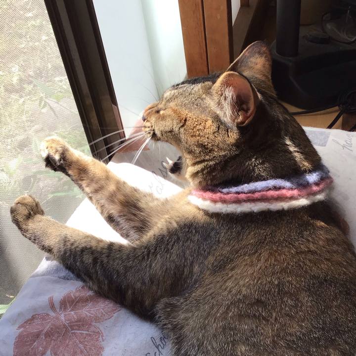 346a6c39 f601 4225 84f5 9f1c9ae00445 1624848130083