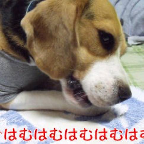 346a721b 77a9 4f86 bd59 6642f23f8051 1723773196760