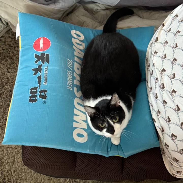 346a7491 9295 4c25 9870 45ffe96c2ac8 1773440389775